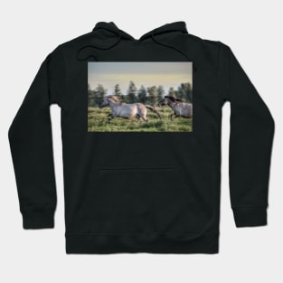 Be home before the dawn Hoodie